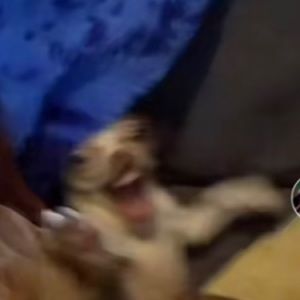 Meet your Posher, Jaci